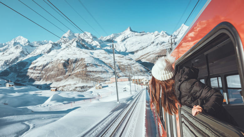 a traveler looking out a train window