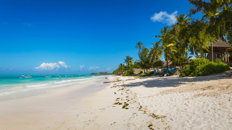 Beautifull Tropical white sandy beach with azure water on Zanzibar Island
