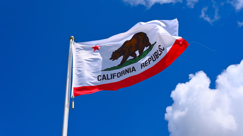 California flag waving in air.