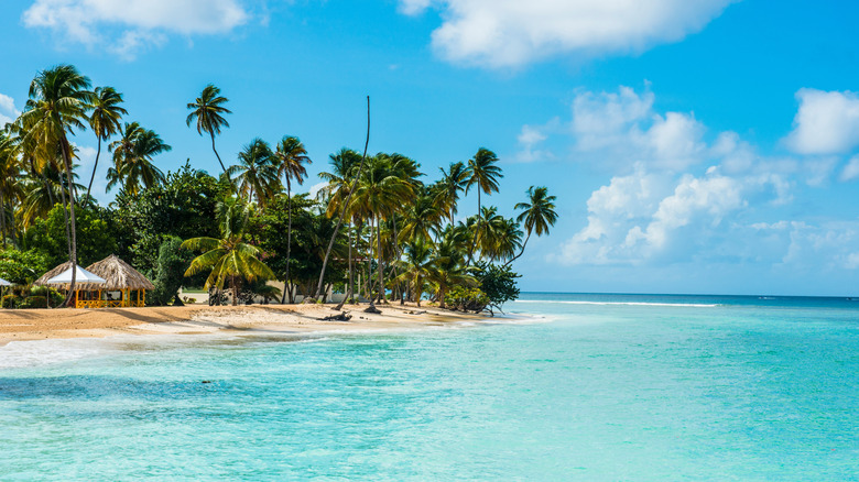 beach scene on Trinidad and Tobago islands