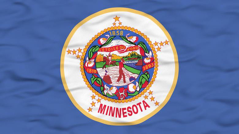 Minnesota state flag