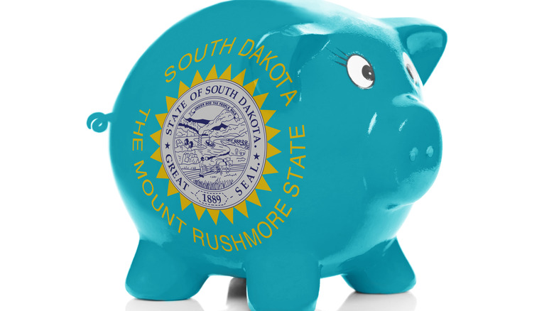 South Dakota logo on piggy bank