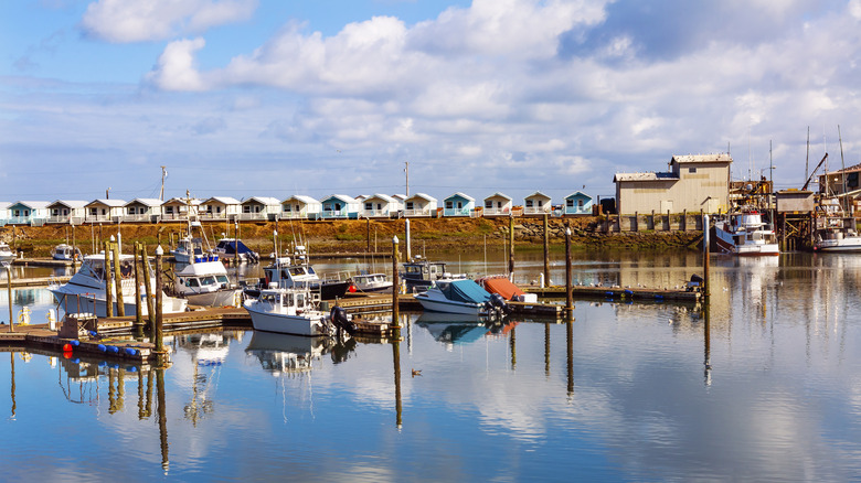 Westport Grays Harbor Puget Sound Washington State Pacific Northwest