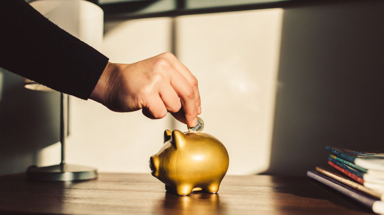 Person adding money to piggy bank.