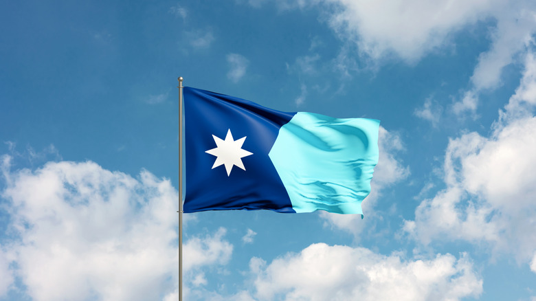 Minnesota flag waving in sky.