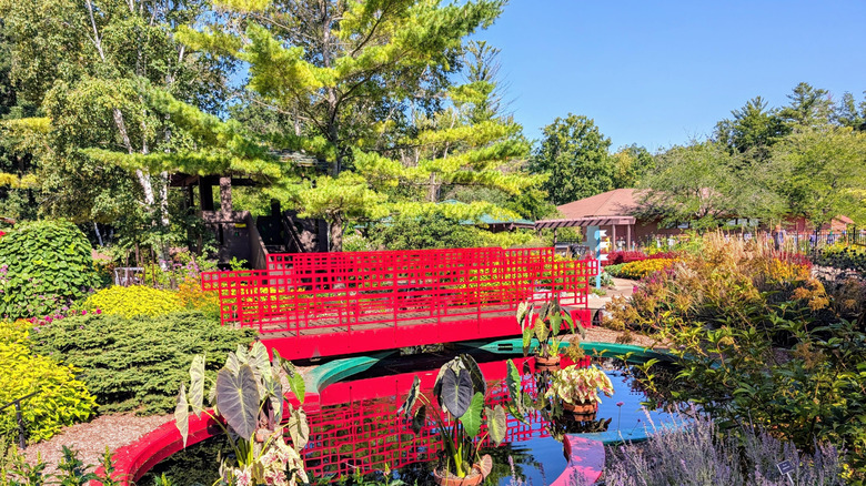 Dow Botanical Gardens in Midland with a red bridge