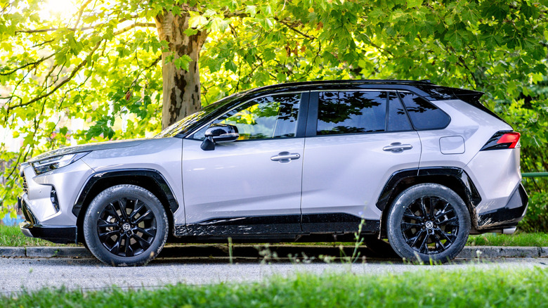 A side view of a two-tone gray and black Toyota RAV4 parked near a tree.