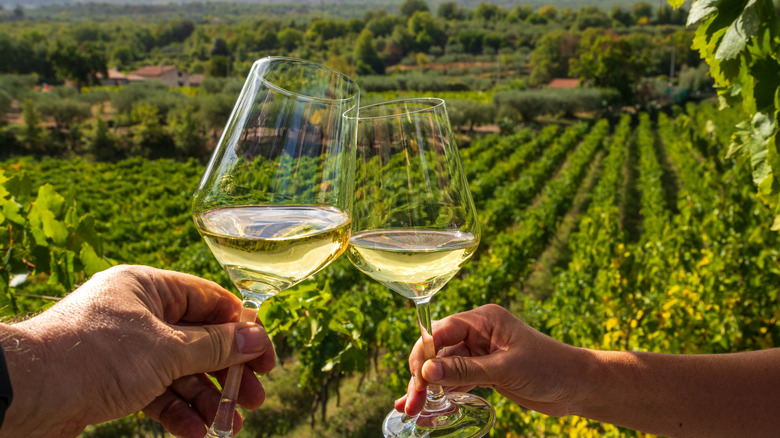 toasting with wine at a vineyard B&B