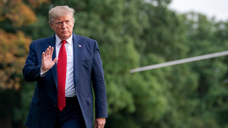 Donald Trump waves to reporters on the White House lawn