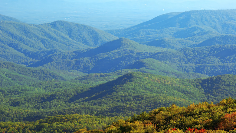 North Carolina - Great Smoky Mountains