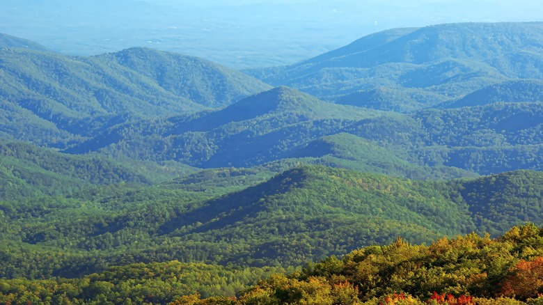 North Carolina - Great Smoky Mountains