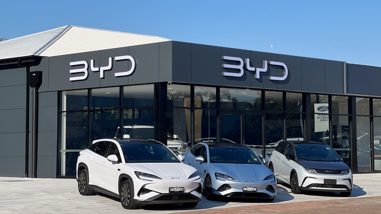 BYD logo on a building and BYD cars