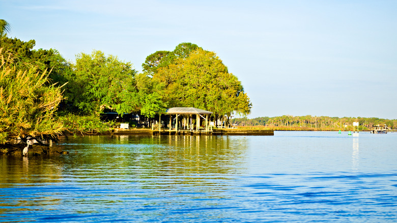 A pier overlooking the water at Homosassa Springs