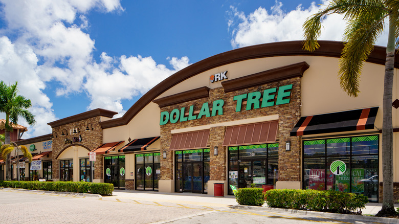 a Dollar Tree storefront on a sunny dat