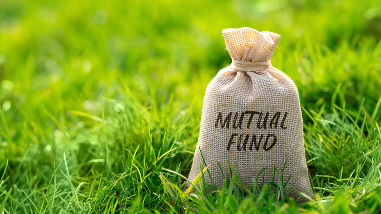 Mutual fund in a money bag