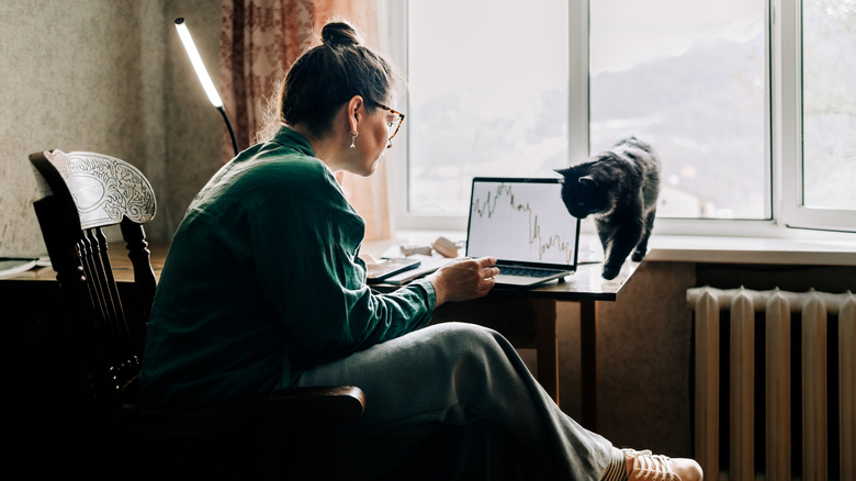 woman looking at stock data on laptop