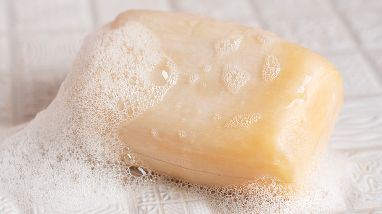 A suds bar of cream-colored soap on white bathroom tile.