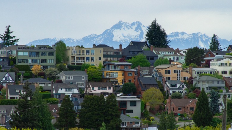 Houses and condos in Washington state with the Olympic mountain range behind them.