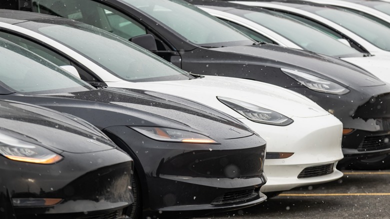 A row of Tesla vehicles parked outdoors in falling snow, including black and white Model 3 sedans