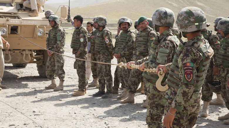 ANA soldiers wearing forest camo uniforms