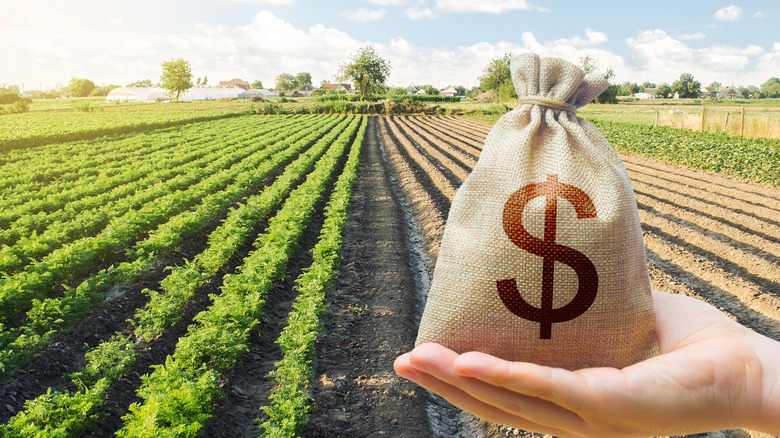 money bag and farmland