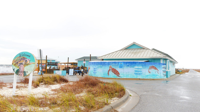 Navarre Sea Turtle Conservation Center