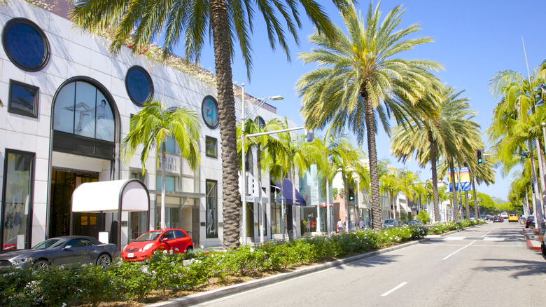 A street view of Rodeo Drive in California.