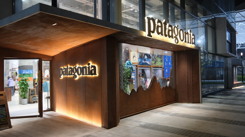 Patagonia Store