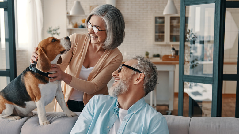 Retired couple at home petting a dog