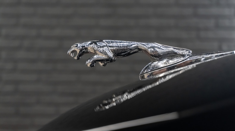 A Jaguar-shaped hood ornament on a black car